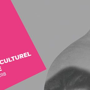Programme culturel et artistique / février 2018 – juin 2018