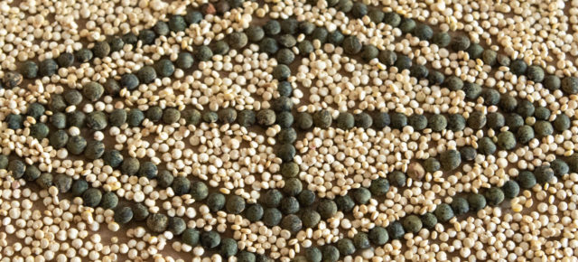 mosaïque_lentilles_quinoa